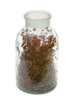 gallipot with dried herbs