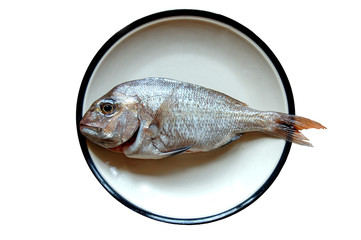 snapper fish in a plate