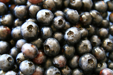 fresh blueberry texture