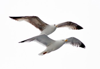 Formation flying
