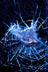 cracked glass