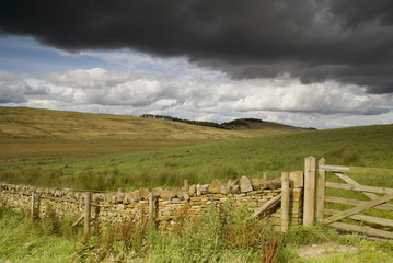 Fototapeta na wymiar Farmland in the Lake District