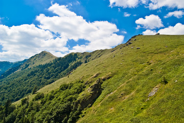 Naklejka premium Mountain Landscape