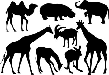 Vector silhouettes of mammals 