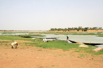 niger,le grand fleuve © jean claude braun