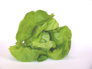 Kopfsalat