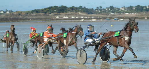 Course de chevaux sur une plage bretonne - obrazy, fototapety, plakaty