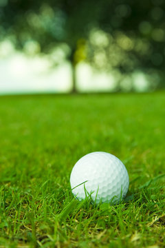 golf ball on green fairway