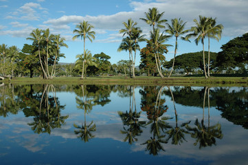 Fototapeta na wymiar Wailoa Pond, Hilo, Hawaii USA