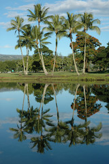 Naklejka na ściany i meble Wailoa Pond, Hilo, Hawaii USA