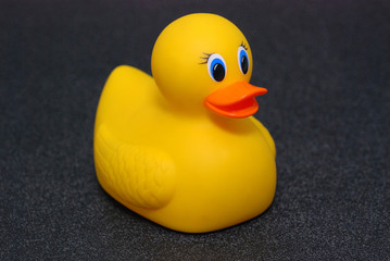 Rubber Duck angle facing right on black background