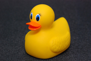 Rubber Duck angle facking left on black background