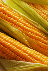 Corn