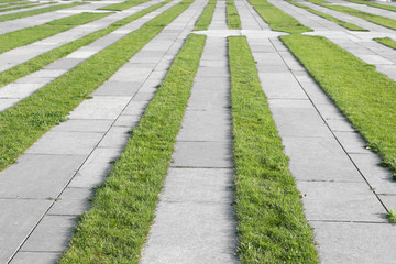 Grass pavement strips