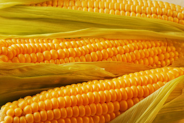Corn