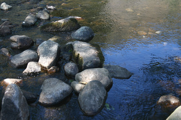 rocky river scene