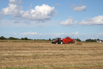 Obraz premium Harvest 4