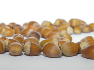 Obraz premium noisettes