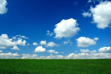 horizon , green field, blue sky and white clouds