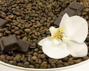coffee and dark chocolate