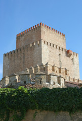 Fototapeta premium Medieval castle tower