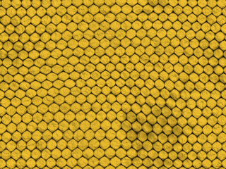 Textura Fondo Animal reptil