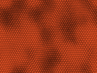 Textura Fondo Animal reptil