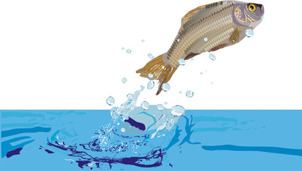 illustration with fish