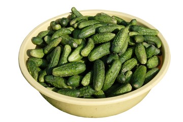 green gherkins in big basin on white background