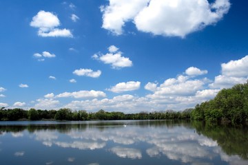  Heaven over pond, Czech republic , east Europe