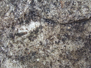 dry stone