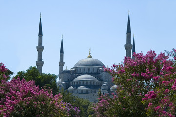 Fototapeta na wymiar Blue Mosque