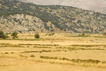 Fototapeta na wymiar hochebene Kreta