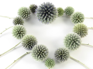 Obraz premium heart from blue flowers