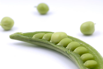 Snowpea
