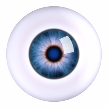 Eye eyeball
