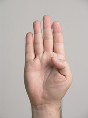 4 fingers - 5