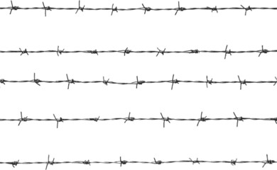 five pieces of barbed wire - obrazy, fototapety, plakaty