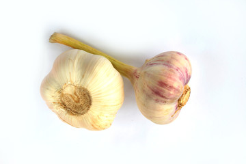 garlic