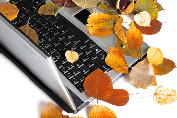 Autumn laptop.