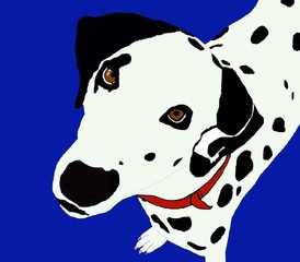 Treggs dalmatian illustration