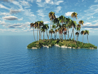 Obraz na płótnie Canvas Palm Island