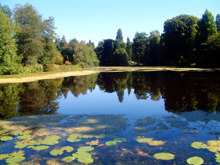 Weston Park near Stafford