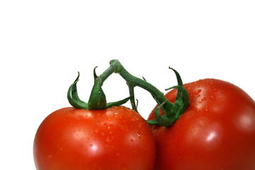 Tomatoes on the Vine