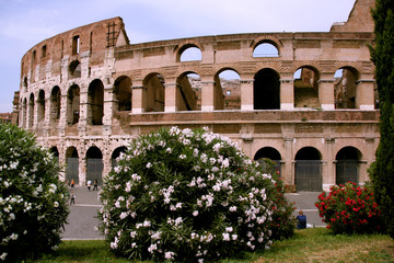 Colosseum and flowers
