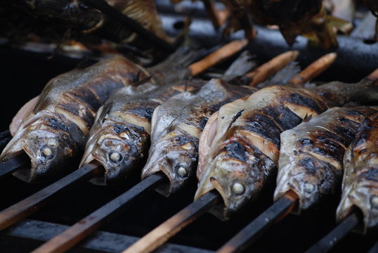 Fische
