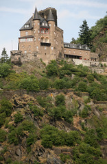 Fototapeta premium Burg Katz