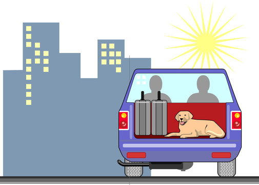Blue pickup truck with dog and building