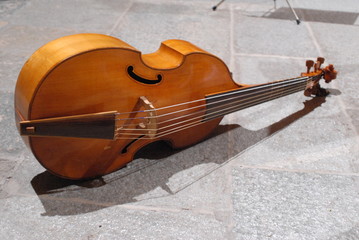 viola