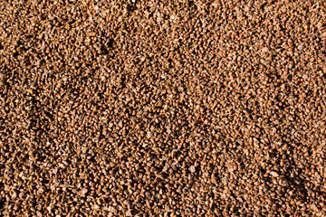 background of very tasty siberian cedar nuts